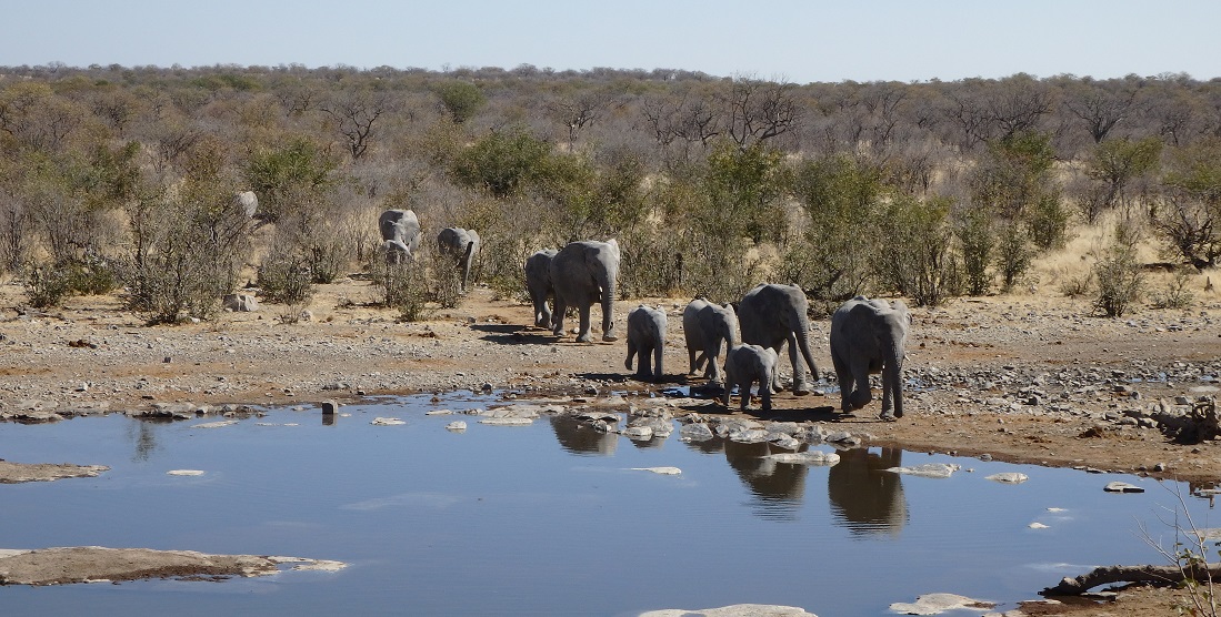 Namibie 2016 : Hoada => Windhoek