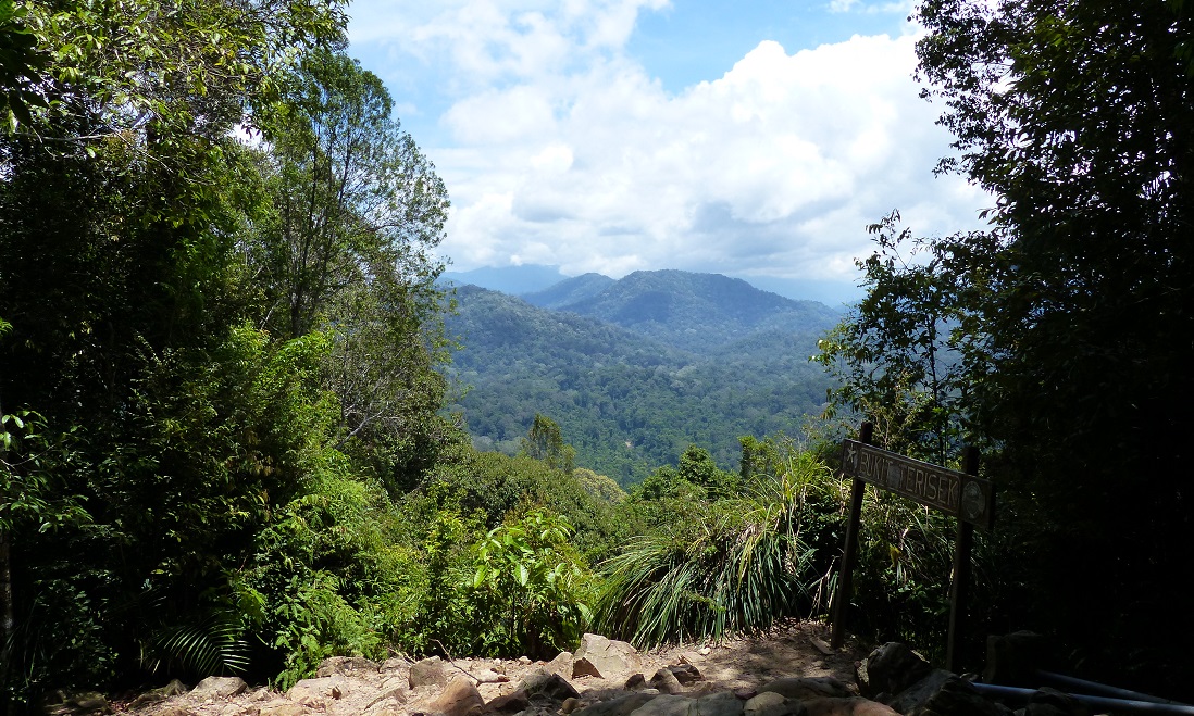 Malaisie 2014 : Kuala Lumpur => Taman Negara