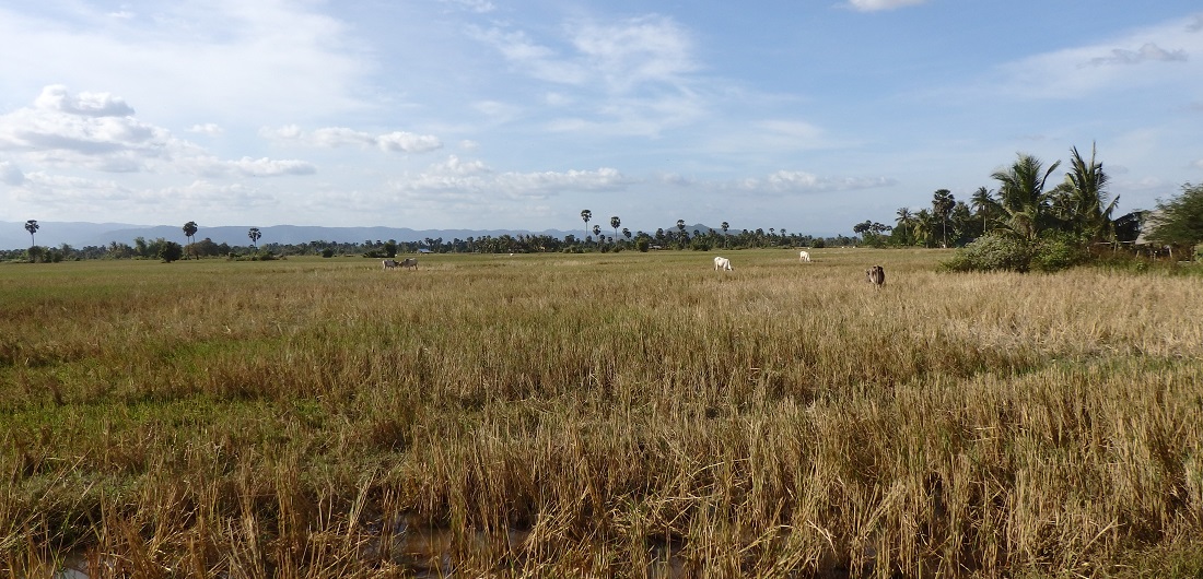 Cambodge 2016 : Siem Reap => Kampot