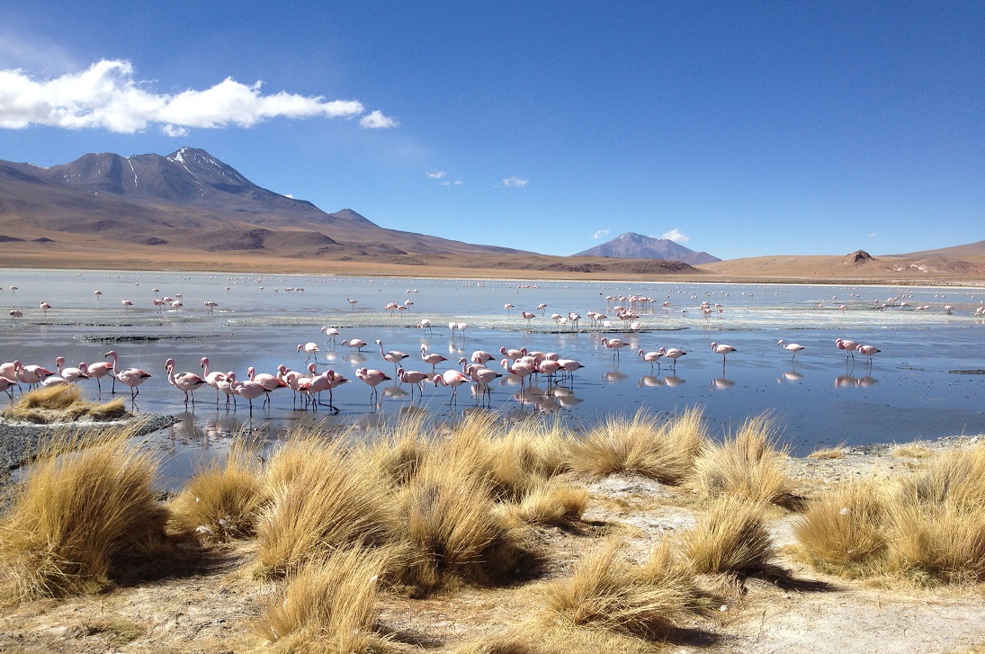 Pérou-Bolivie: Itinéraire