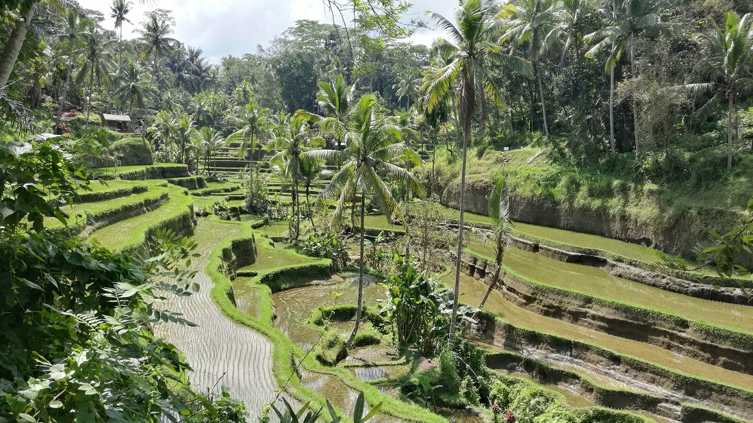 Bali 2018 : Sanur – Ubud – Kuta