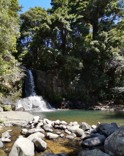 1952 - Coromandel (309 Road)