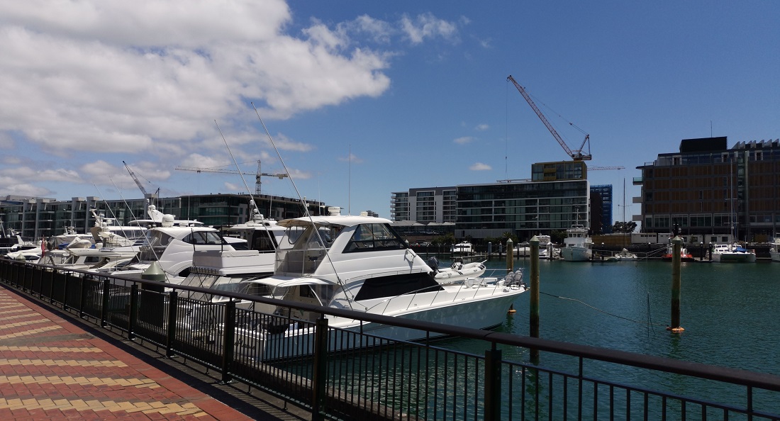 11 – Auckland 11 - Auckland