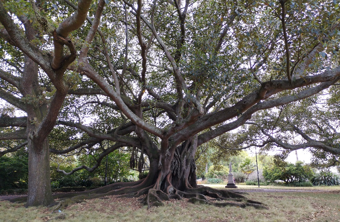 27 – Auckland 27 - Auckland