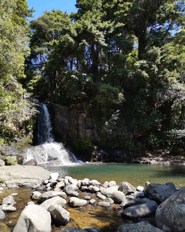 1952 – Coromandel (309 Road) 1952 - Coromandel (309 Road)